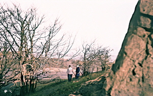 54-05-0031-am Kn�llk�pfchen direkt Gimp FS imp-Colorized-Enhanced, cyan-B300