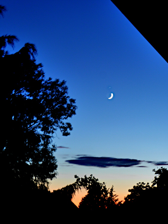 P1060613-Mondsichel und Abendstern, Struktur dkl, Gimp, imp-560